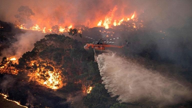 cháy rừng ở úc là hậu quả của biến đổi khí hậu 